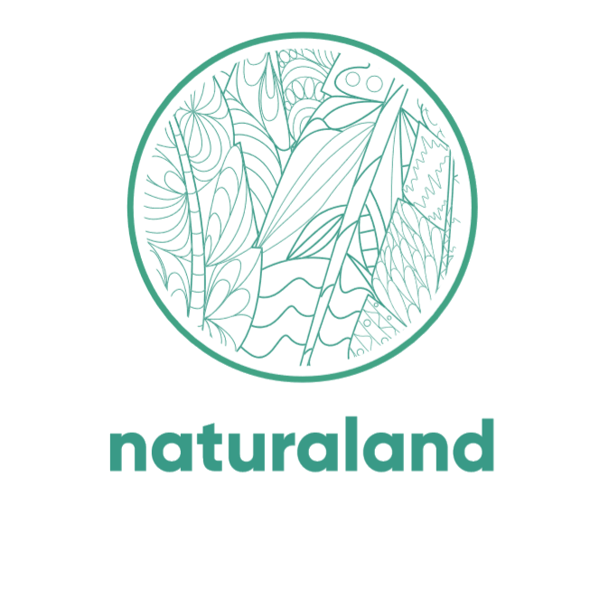 Winner small image - Toosh Coosh